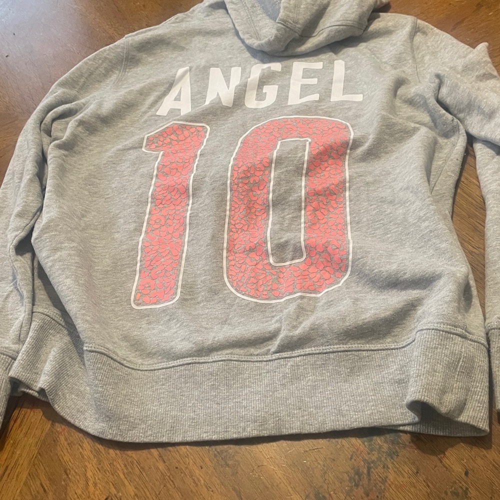 VS Pink Hoodie